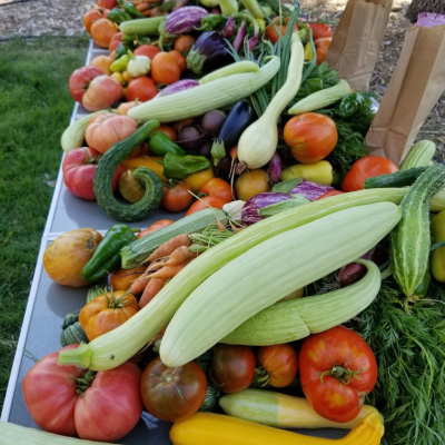 a table full of summer veg